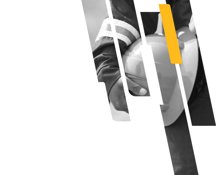 Decorative image related to student language